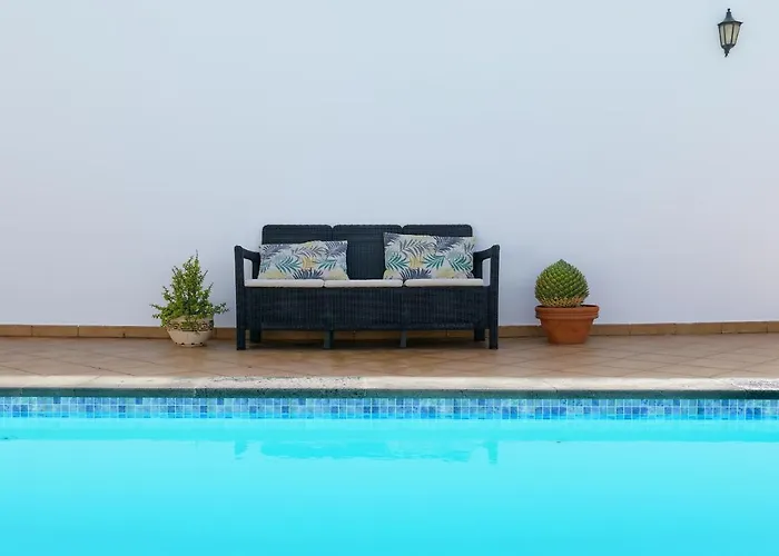 Vista Lobos Entre Volcanes Y Oceano *