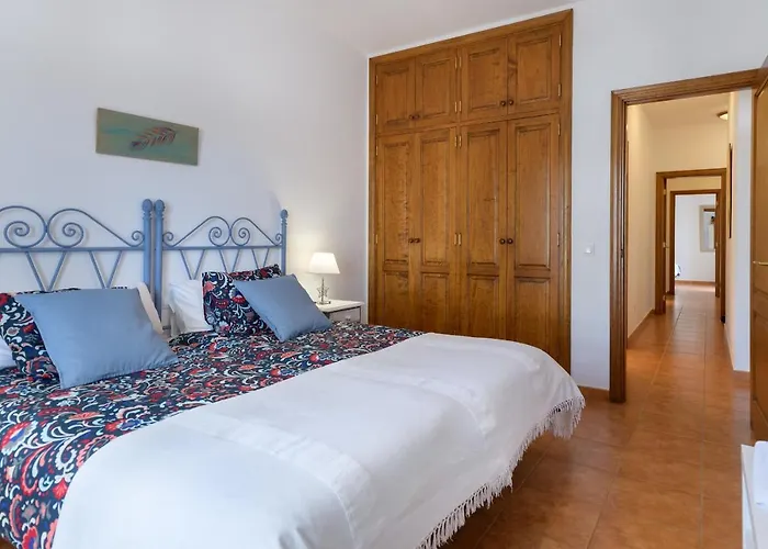 Vista Lobos Entre Volcanes Y Oceano *