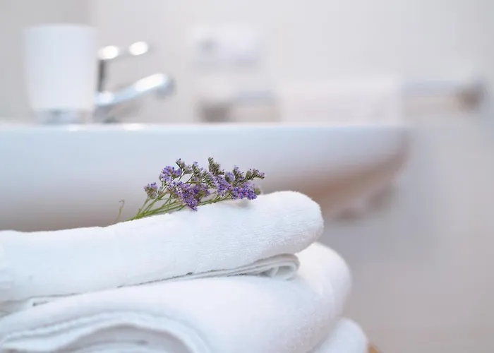 Vista Lobos Entre Volcanes Y Oceano *