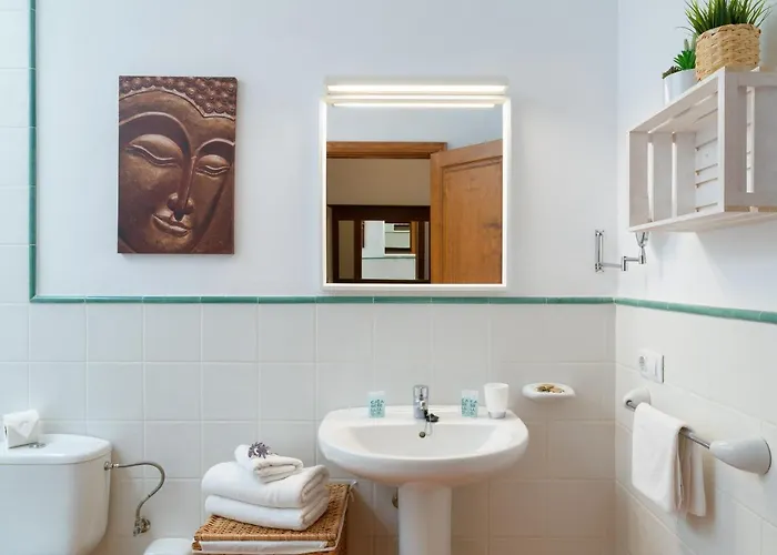 Vista Lobos Entre Volcanes Y Oceano