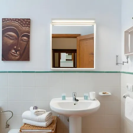 Vista Lobos Entre Volcanes Y Oceano