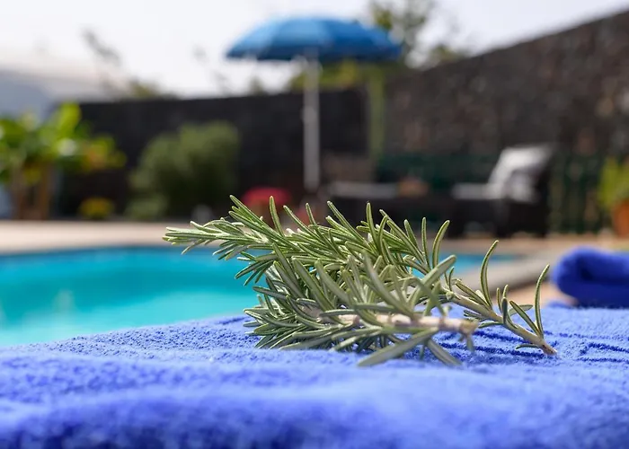 Vista Lobos Entre Volcanes Y Oceano * Playa Blanca (Lanzarote)