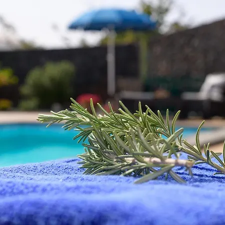 Vista Lobos Entre Volcanes Y Oceano * Playa Blanca