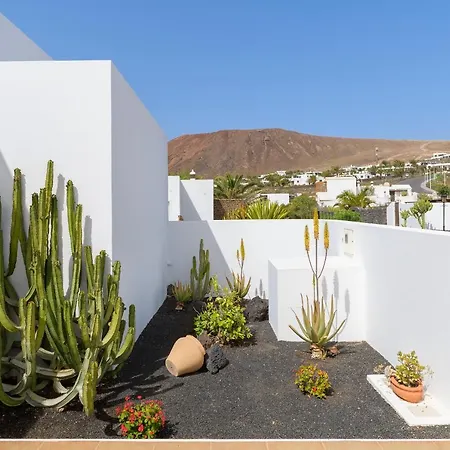 Vista Lobos Entre Volcanes Y Oceano Tatil Evi Playa Blanca