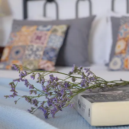 Vista Lobos Entre Volcanes Y Oceano Tatil Evi *